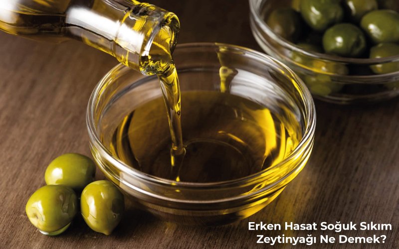 Erken Hasat Soğuk Sıkım Zeytinyağı Ne Demek